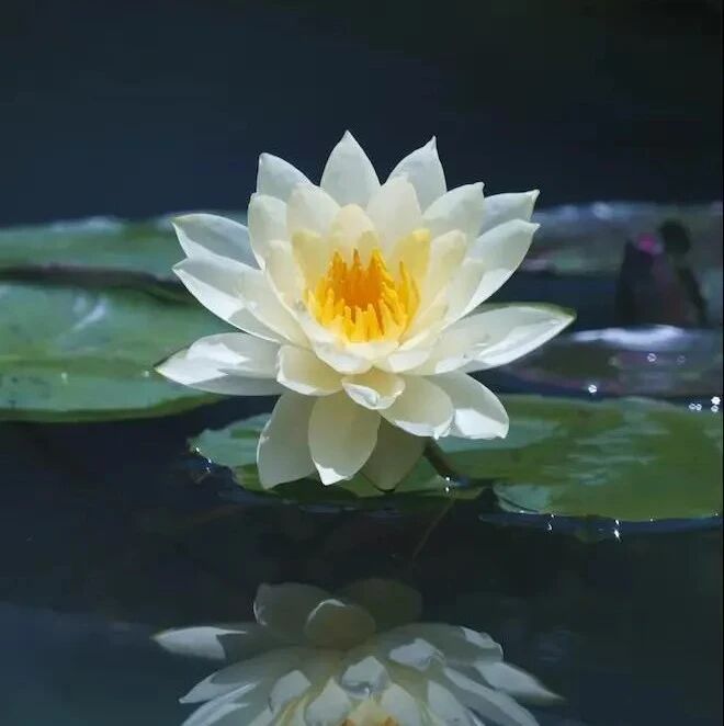 佛教中的“忏悔”真的有用吗?