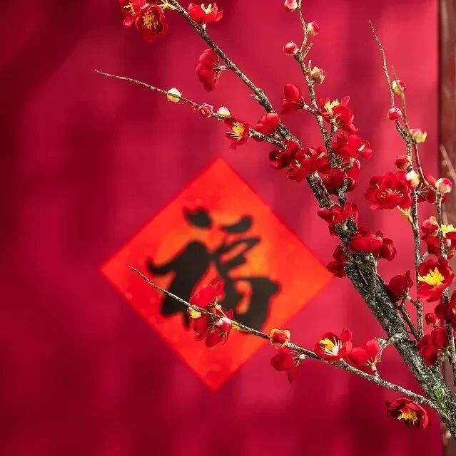 春天六个积福秘籍,满满福气!