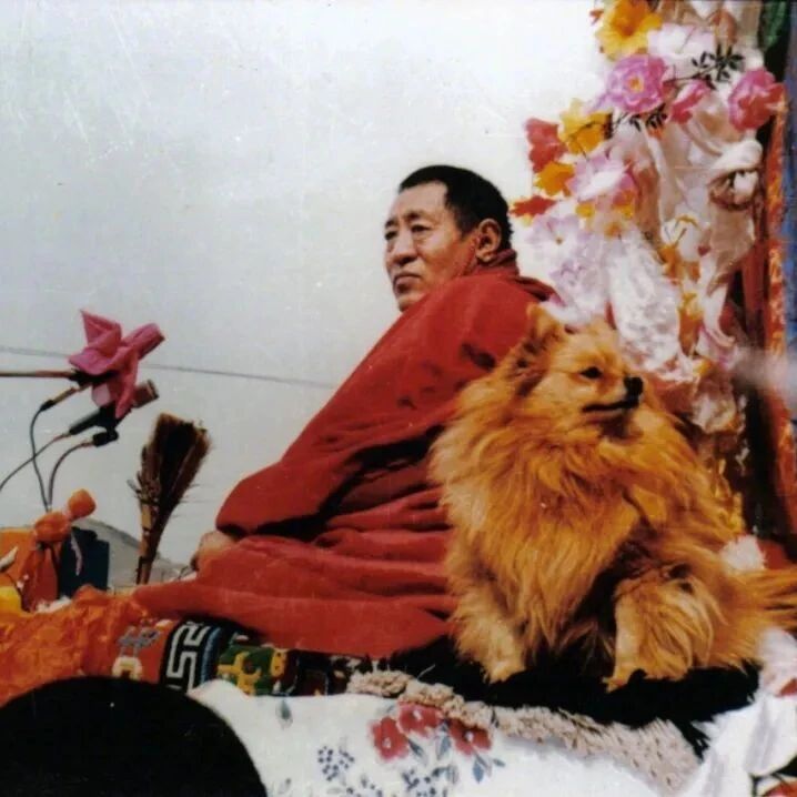 法王如意宝:希求异性朋友、名声、财富,就会有剧烈的痛苦!