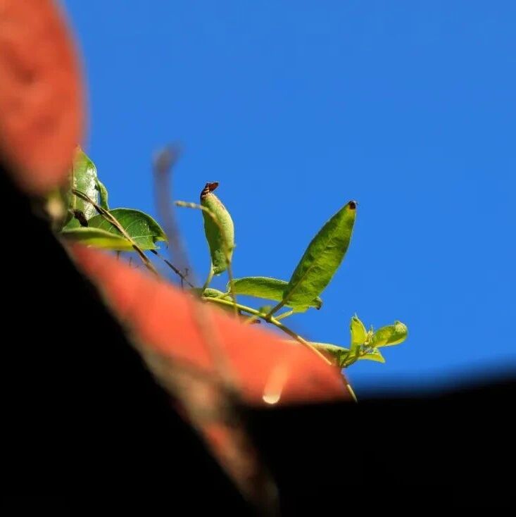 这五件事会消耗福气,很多人却还在做…