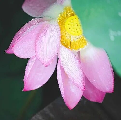 福气将要耗光的人,有这三种特征