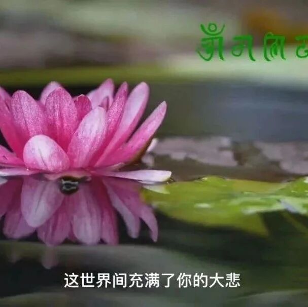 搬家、开业、拓新,或遇违缘时,念这个一切顺利圆满