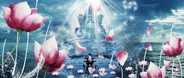 作为护法居士,如何快速累积福慧?