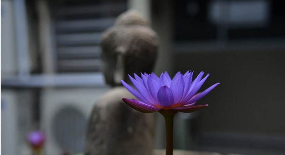 李广杀降种大祸